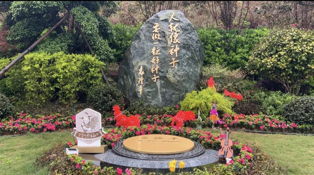 禾下乘涼夢(mèng)，一稻一人生 我們永遠(yuǎn)懷念袁爺爺 #安全用電你我湘聯(lián)